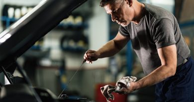 Mecanic verificând nivelul uleiului de motor cu joja, într-un service auto